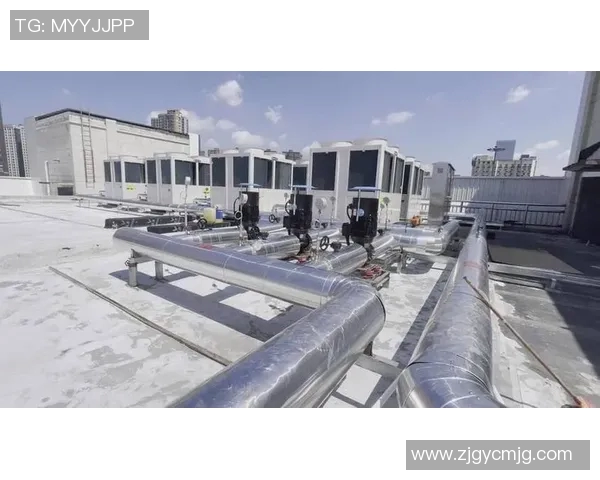 成都篮球队选拔赛特别报道：从传统到现代的全面转型之路探秘