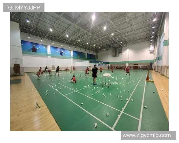 武汉羽毛球队的节奏揭秘：从训练到比赛的全景探索与背后故事